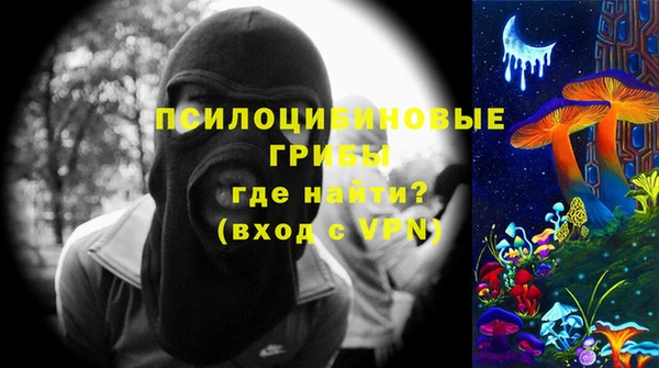 MDMA Новодвинск