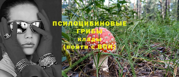 мескалин Новозыбков