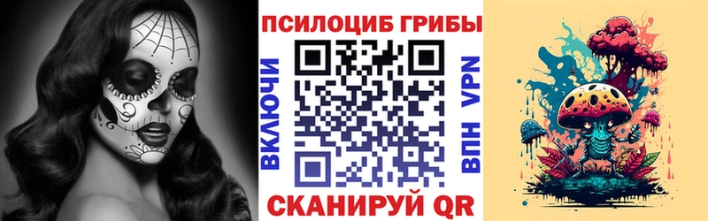 мориарти клад  даркнет сайт  Шиханы  Псилоцибиновые грибы GOLDEN TEACHER  кракен зеркало 